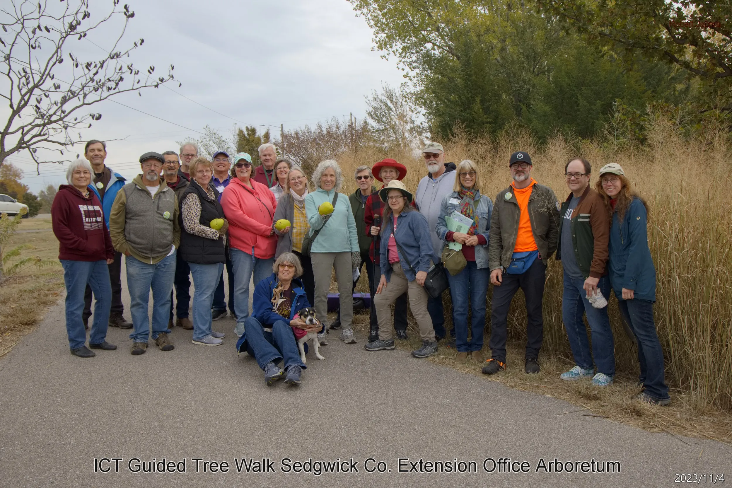 ICT Trees guided tree walk with arborist, November 2023
